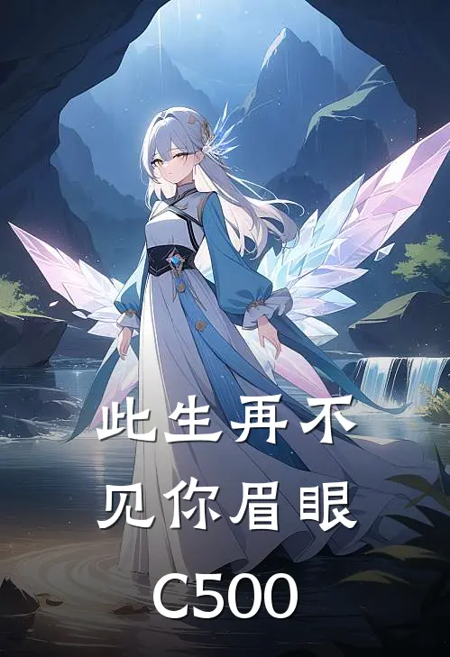 此生再不见你眉眼C500