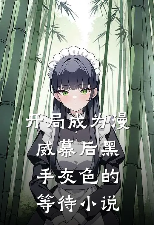 开局成为漫威幕后黑手 灰色的等待 小说