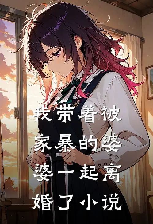 我带着被家暴的婆婆一起离婚了小说