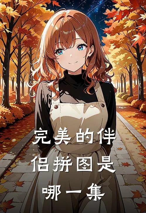 完美的伴侣拼图是哪一集