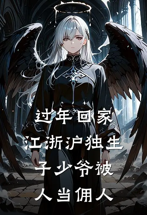 过年回家，江浙沪独生子少爷被人当佣人(特朗普许宸年)免费小说在线阅读_在线阅读免费小说过年回家，江浙沪独生子少爷被人当佣人(特朗普许宸年)