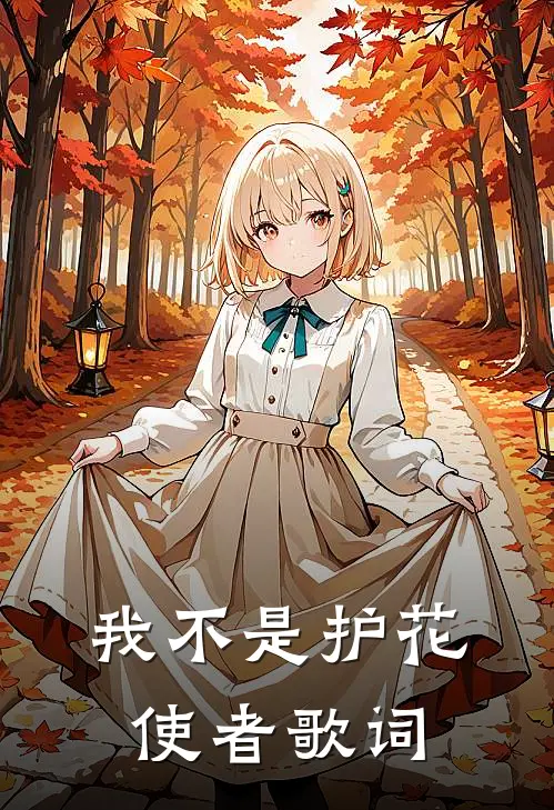 我不是护花使者歌词