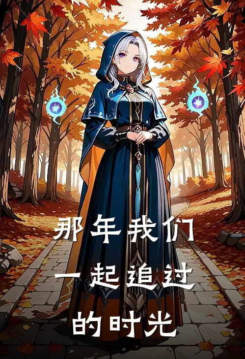 那年我们一起追过的时光